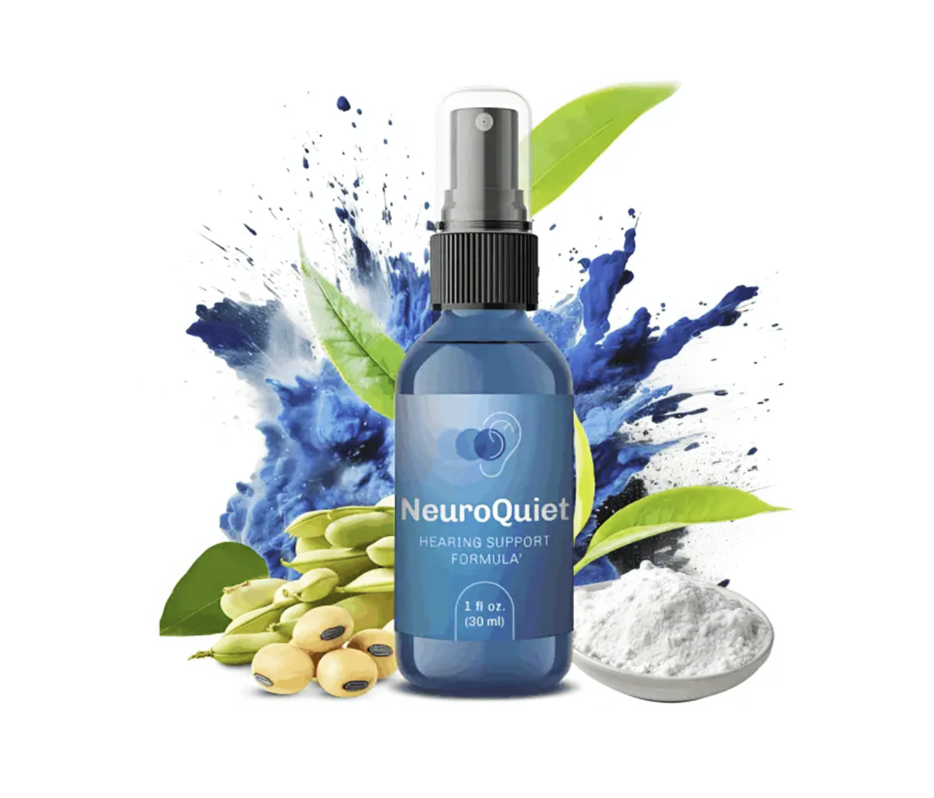 NeuroQuiethq.com